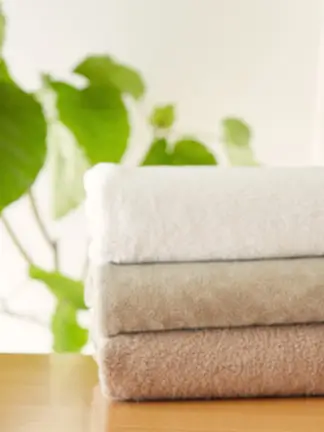 cozy amenities soft blanket